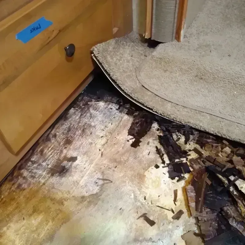 Wood Floor Water Damage in Fernandina Beach, FL